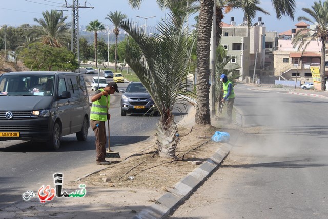 فيديو - كفر قاسم :  بعد النشر في قسماوي نت  البدء بالمراحل الاولى من البستنة والتشجير في جزر مدخل المدينة 